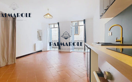PERPIGNAN LES REMPARTS-STUDIO RENOVE 24 M²