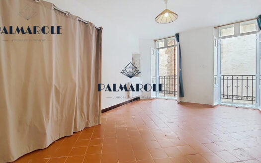 PERPIGNAN LES REMPARTS-STUDIO RENOVE 24 M²