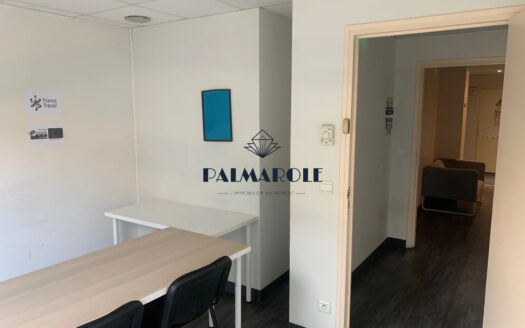 PERPIGNAN ESPACE MED. BUREAUX MODULABLES 150m²