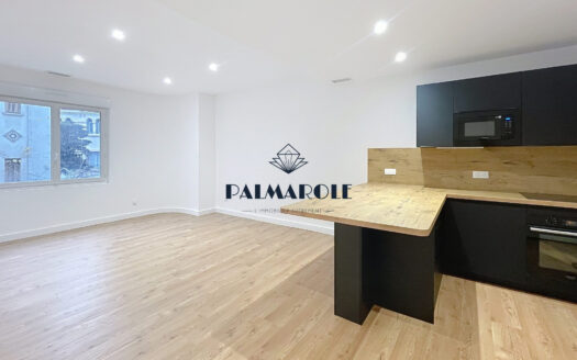 Perpignan Wilson dans immeuble art Deco t4 refait a neuf