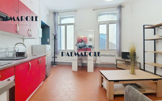 APPARTEMENT T2 MEUBLE – PERPIGNAN CENTRE HISTORIQUE
