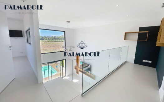 SALEILLES VILLA 3 FACES CONTEMPORAINE VUE DEGAGEE